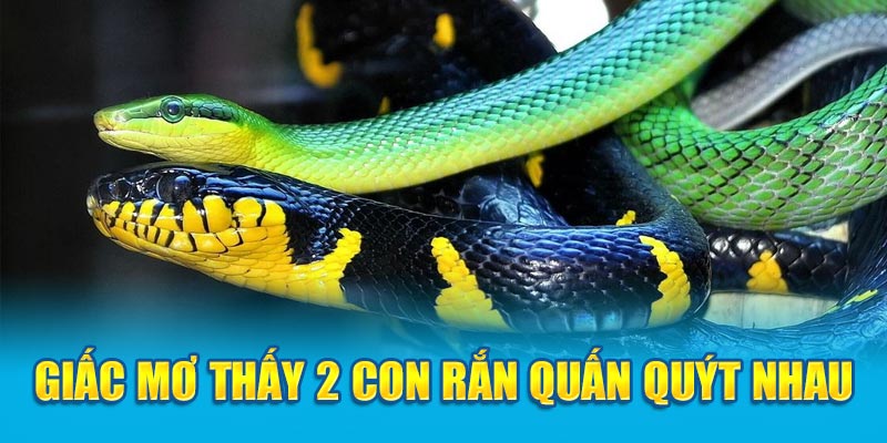 Giấc mơ thấy 2 con rắn quấn quýt nhau